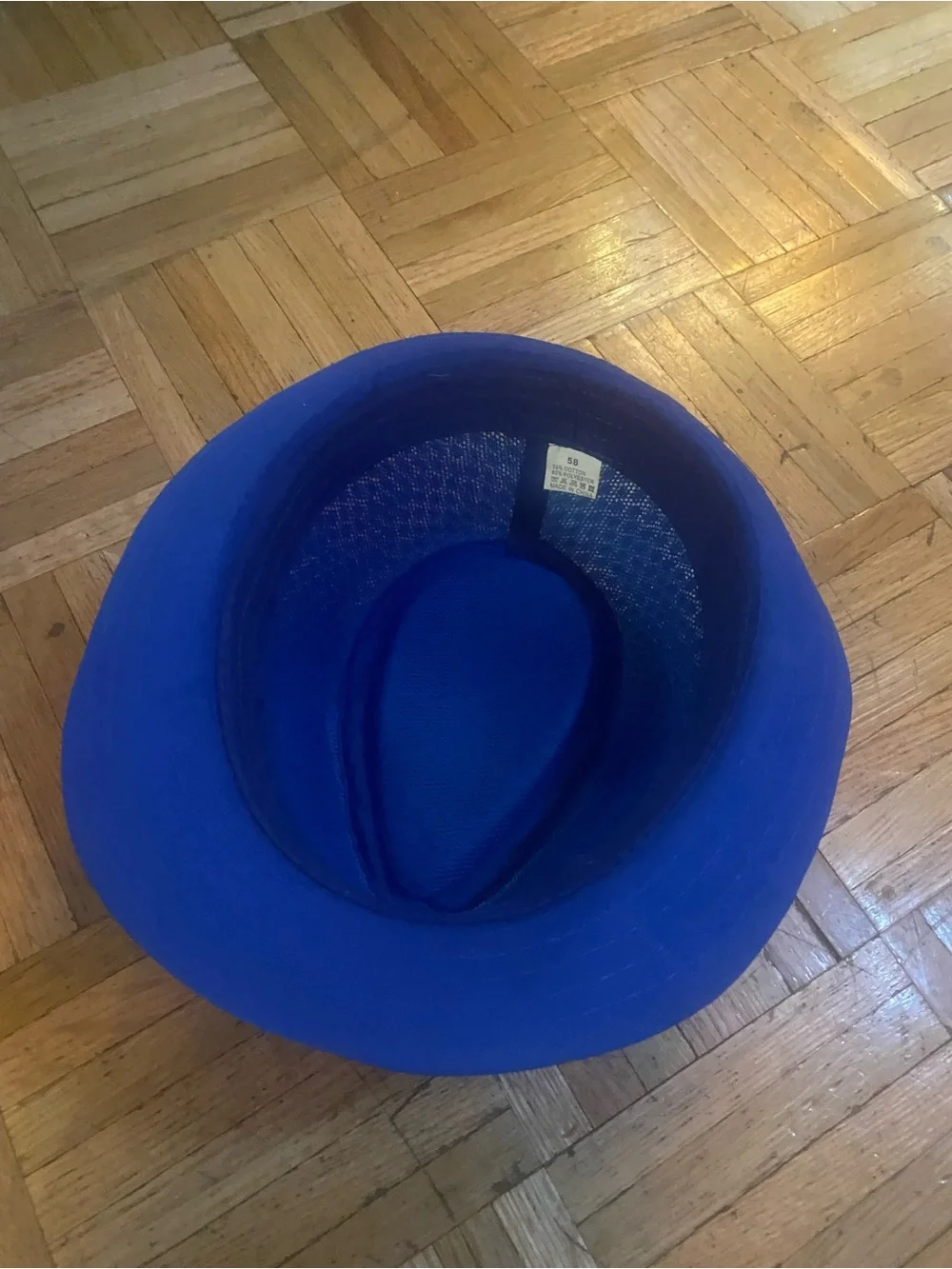 Blue Fedora Hat